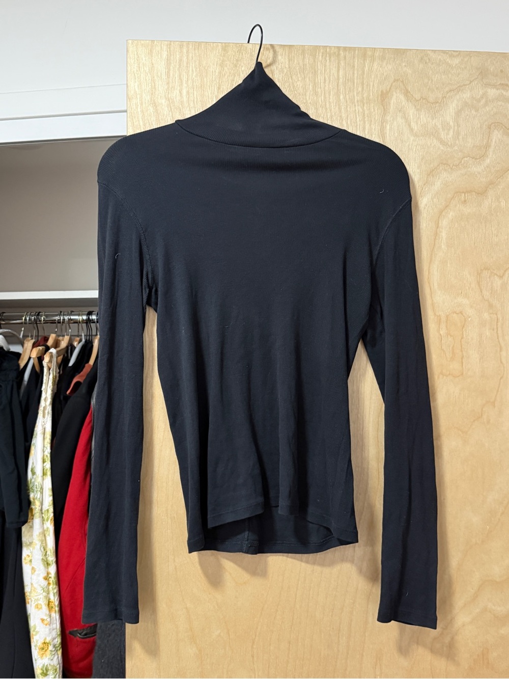 Everlane Black Long-Sleeve Turtleneck Top